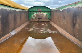 3B7A160A-57B2-4F3E-9571-9798A5EC1E39